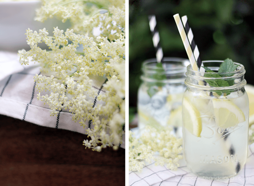 holunderblueten limonade rezept